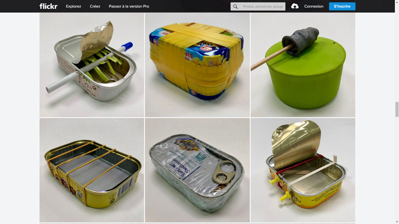 Sardine-instrument-martonne.jpg